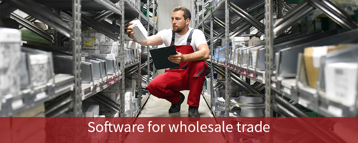 Distripack - Software for wholesale trade